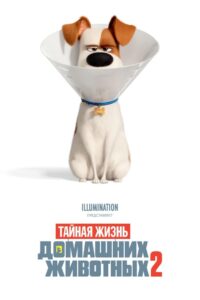 Тайная жизнь домашних животных 2 (2019)
