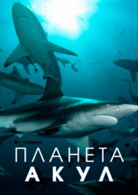 Планета акул (2022)