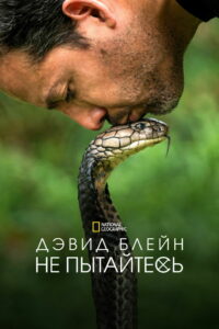 Дэвид Блейн: Не пытайтесь повторить (2025)