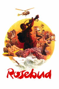 Бутон розы (1975)