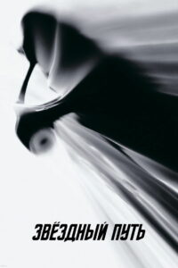 Звёздный путь (2009)