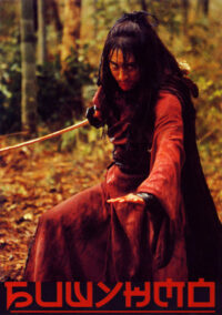 Бишунмо – летящий воин (2000)