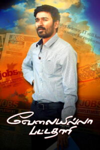 Безработный с дипломом (2014)