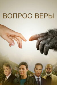 Вопрос Веры (2014)