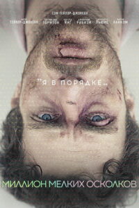 Миллион мелких осколков (2019)