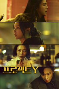 Проект Y (2025)