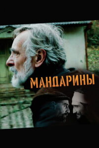 Мандарины (2013)