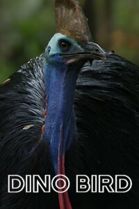 Птица-динозавр (2017)