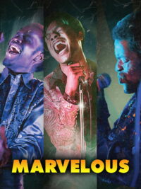 Изумительные парни (2023)