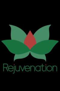 Восстановление (2024)