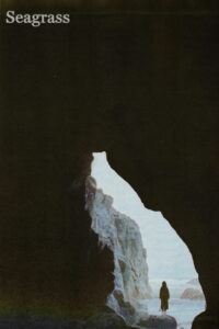 Морская трава (2024)