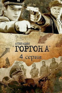 Операция «Горгона» (2011)